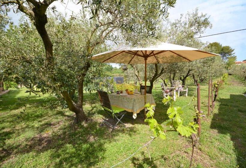 Bed and Breakfast Le Cabanon De L Olivette
