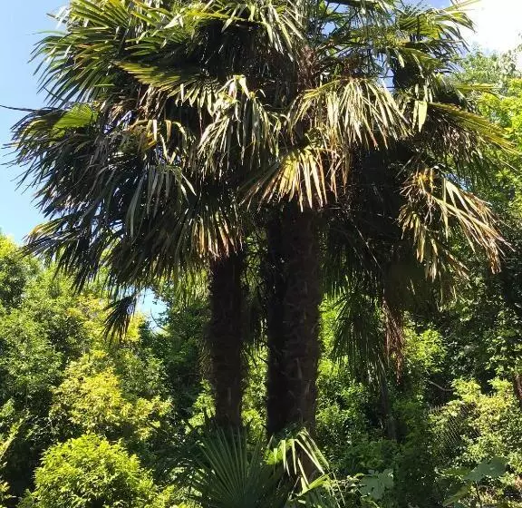 Aamiaismajoitus (B&B) Villa Monte Bianco