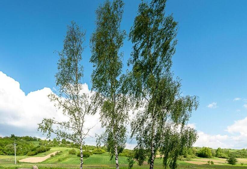 פנסיון Agrohotel Tri Brezy