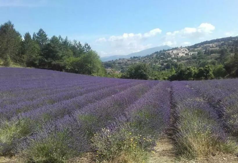 ペンション Le Petit Ventoux