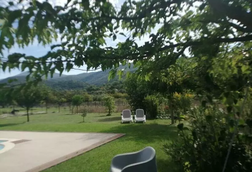 ペンション Le Petit Ventoux