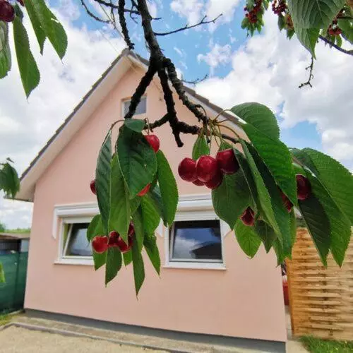 Majatalo önálló, Klimatizált, Medencés Nyaraló A Balatonnál!