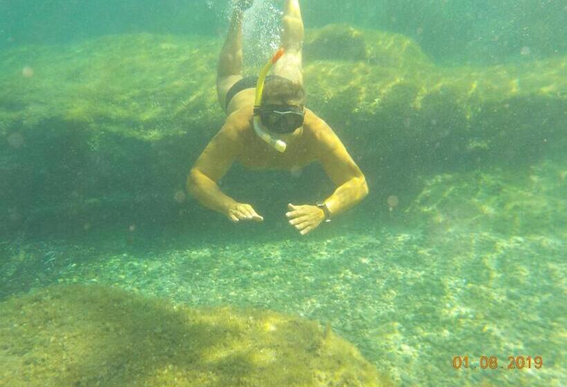 پانسیون S Apposentu