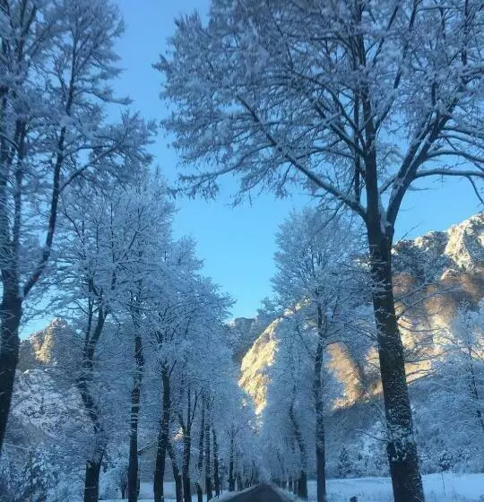 Residenza La Ciasa