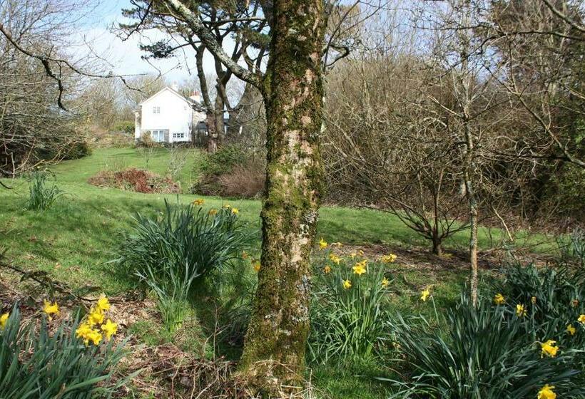 Bed and Breakfast Coombe Farmhouse