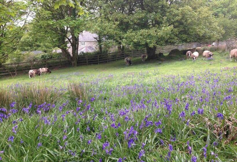Bed and Breakfast Coombe Farmhouse