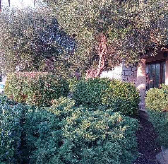 مبيت وإفطار La Forma Dell Acqua