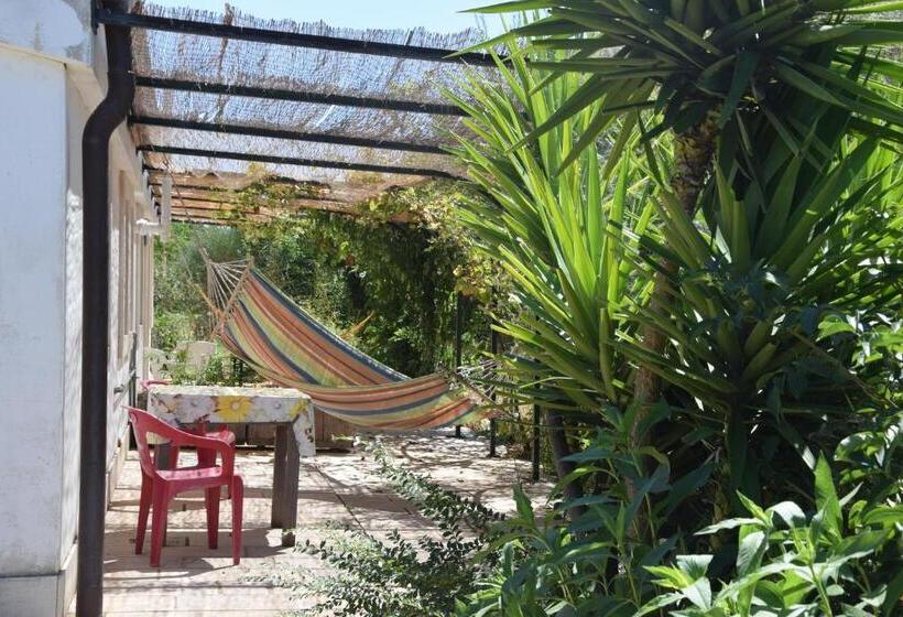 住宿加早餐  Masseria Dei Monelli