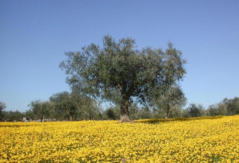 住宿加早餐  Masseria Dei Monelli