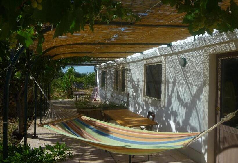 住宿加早餐  Masseria Dei Monelli