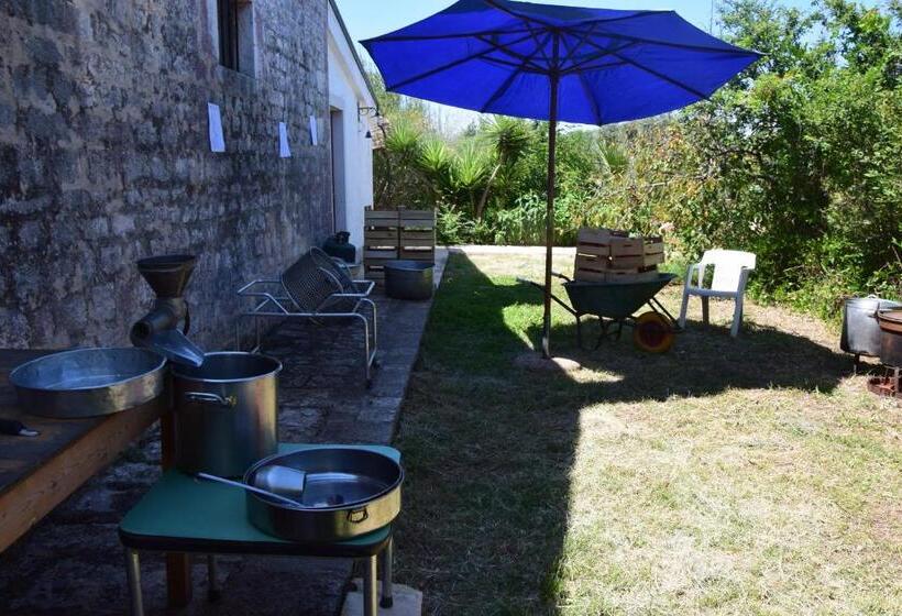 住宿加早餐  Masseria Dei Monelli