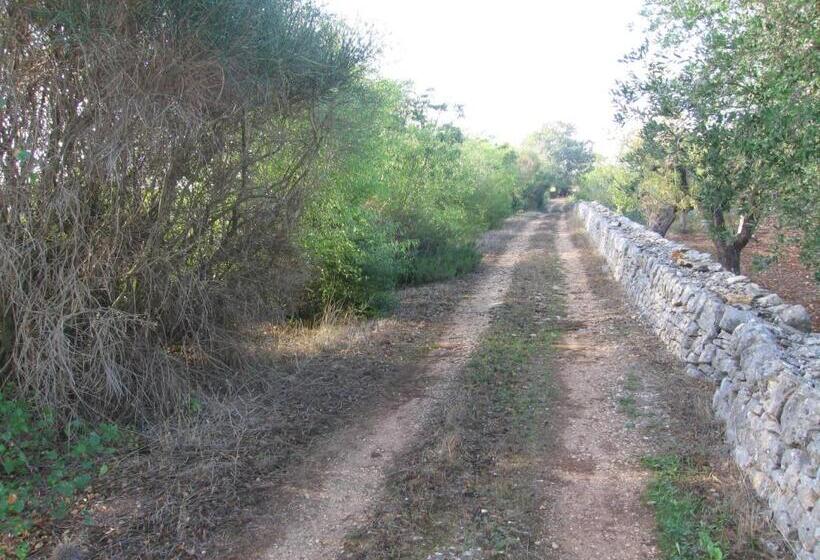 住宿加早餐  Masseria Dei Monelli