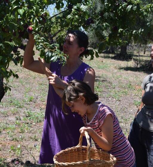 住宿加早餐  Masseria Dei Monelli