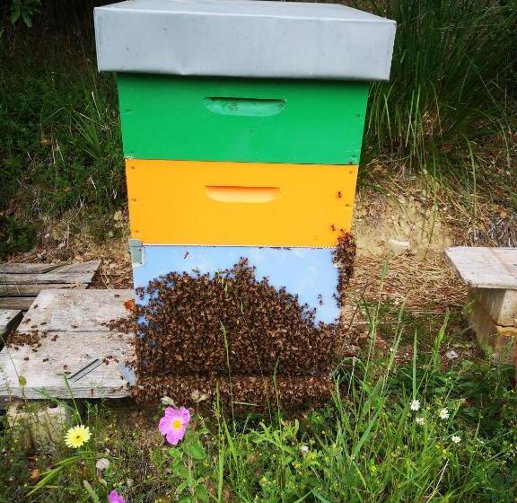 Отель Pietra Antica Agriturismo