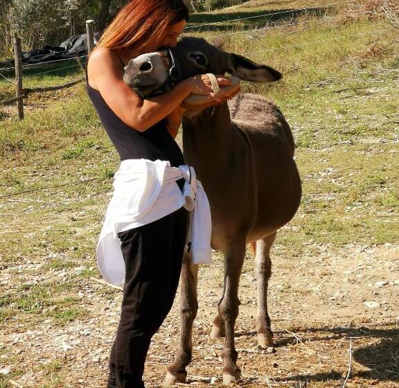 Отель Pietra Antica Agriturismo