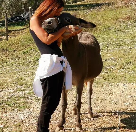 هتل Pietra Antica Agriturismo