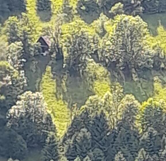 بنسيون Casa Cu Muscate