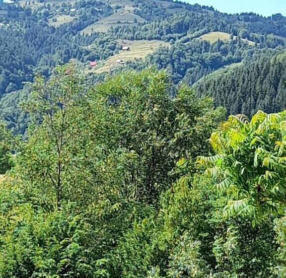 بنسيون Casa Cu Muscate