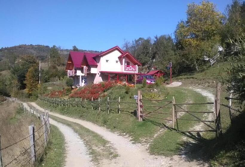 بنسيون Casa Cu Muscate