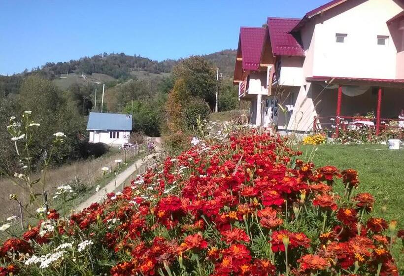 بنسيون Casa Cu Muscate