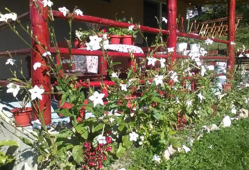 بنسيون Casa Cu Muscate