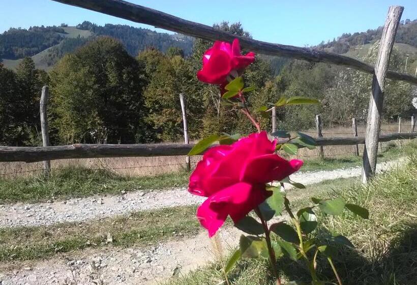 بنسيون Casa Cu Muscate