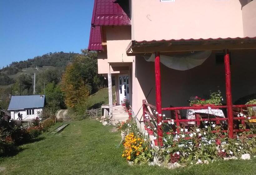 بنسيون Casa Cu Muscate