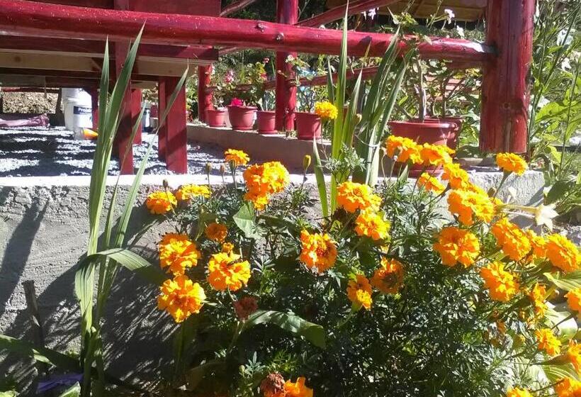 بنسيون Casa Cu Muscate