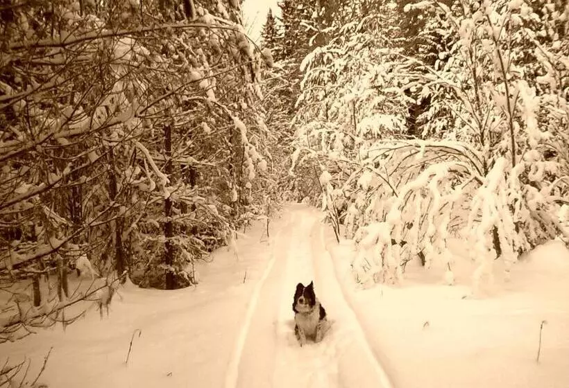 Majatalo Christinagården Guesthouse