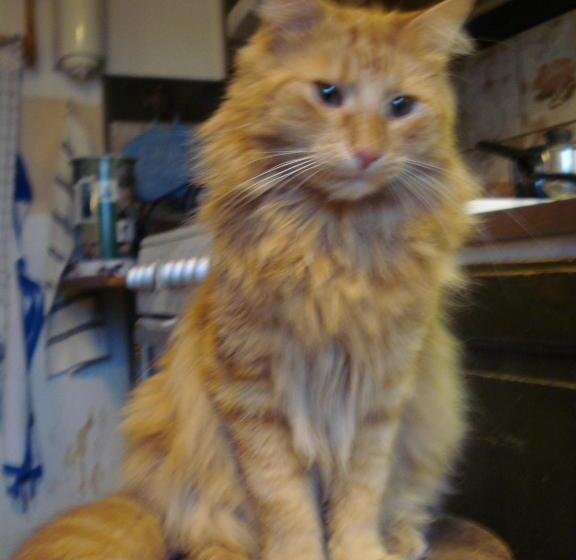 ペンション Christinagården Guesthouse