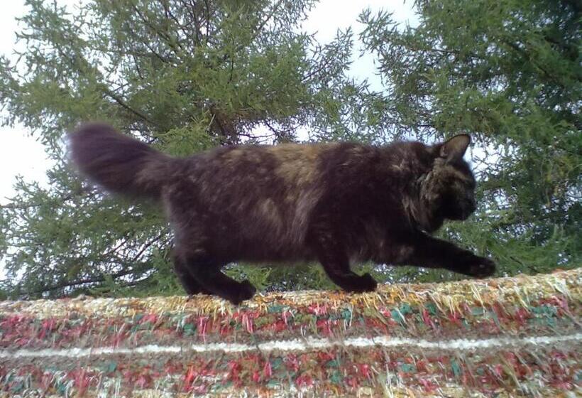 ペンション Christinagården Guesthouse