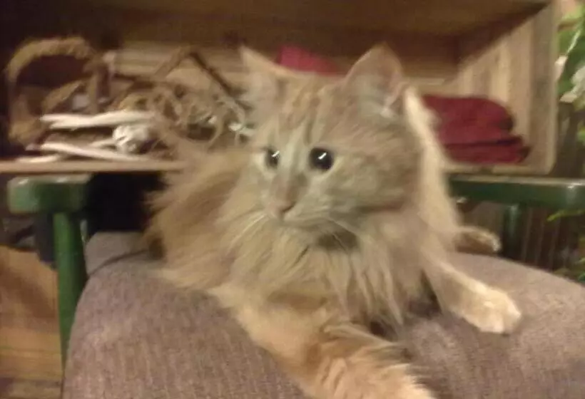 Majatalo Christinagården Guesthouse