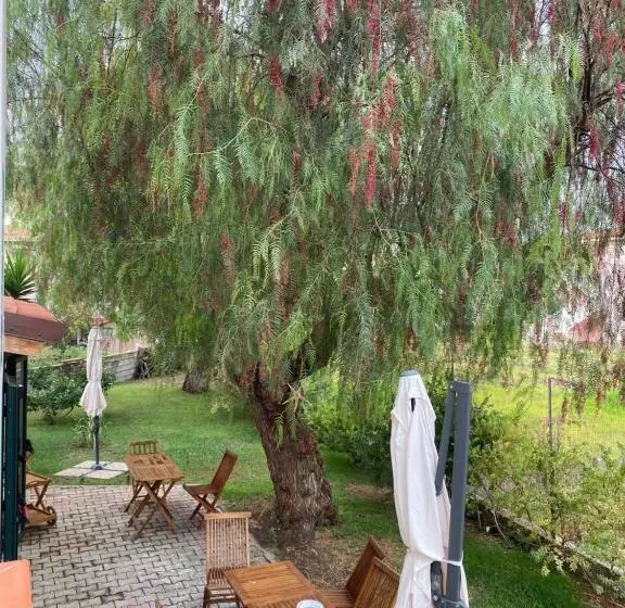Aamiaismajoitus (B&B) Il Pepe Rosa