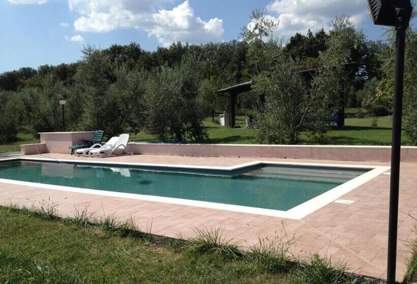 La Casa Nell Oliveto Bed & Breakfast
