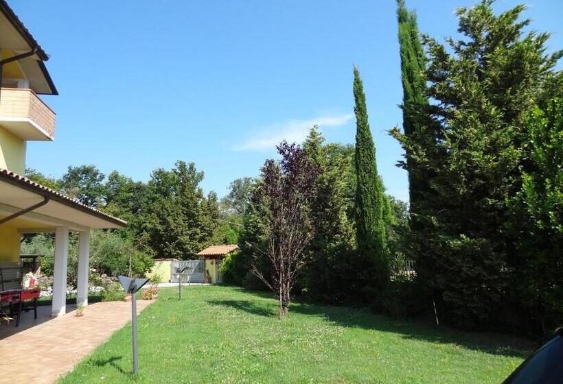 La Casa Nell Oliveto Bed & Breakfast