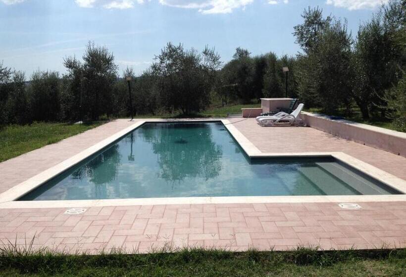 La Casa Nell Oliveto Bed & Breakfast