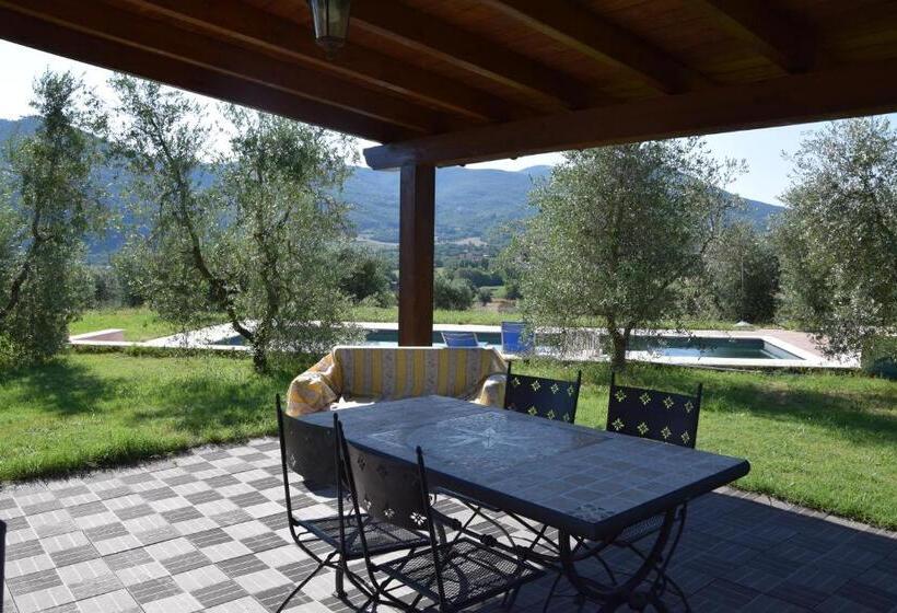 La Casa Nell Oliveto Bed & Breakfast