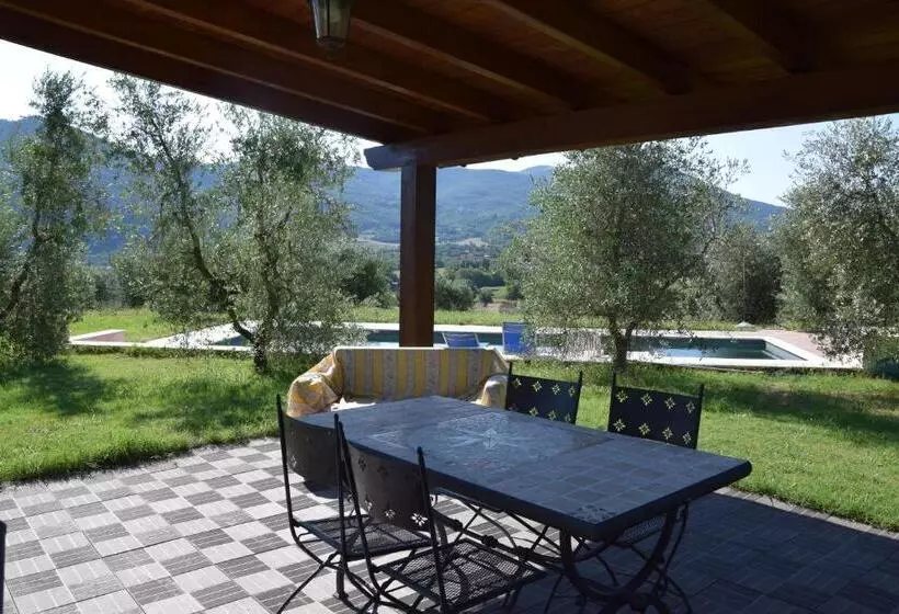 La Casa Nell Oliveto Bed & Breakfast