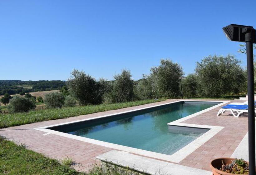 La Casa Nell Oliveto Bed & Breakfast