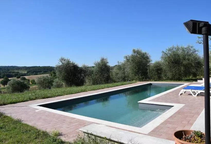 La Casa Nell Oliveto Bed & Breakfast