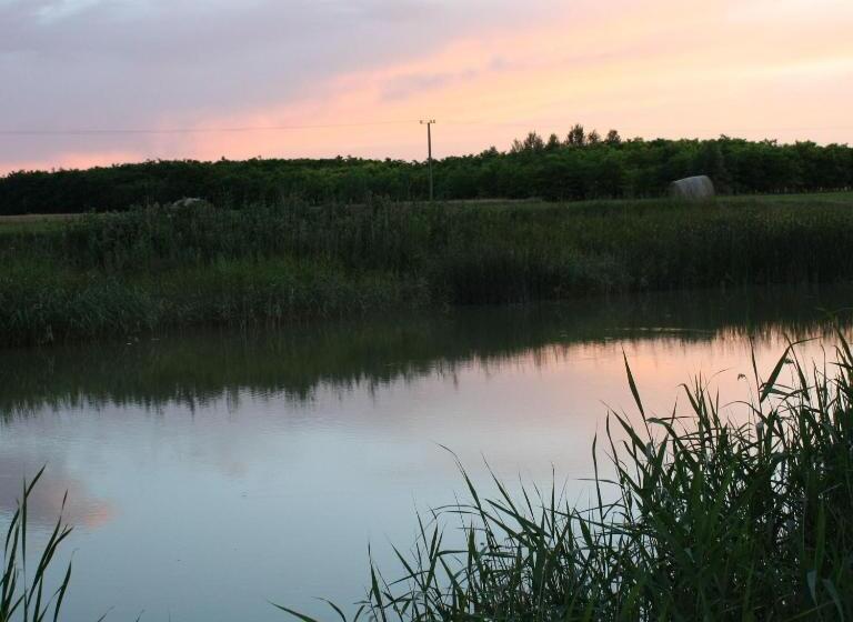 بنسيون Bencsik Tanya Szentkirály   Szálláshely & Rendezvényház