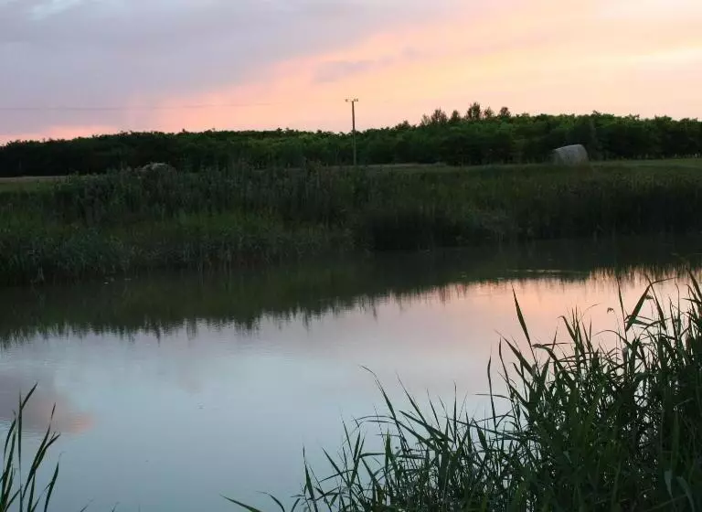 Majatalo Bencsik Tanya Szentkirály   Szálláshely & Rendezvényház