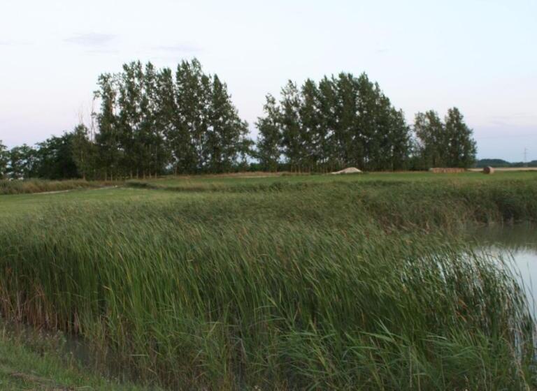 بنسيون Bencsik Tanya Szentkirály   Szálláshely & Rendezvényház