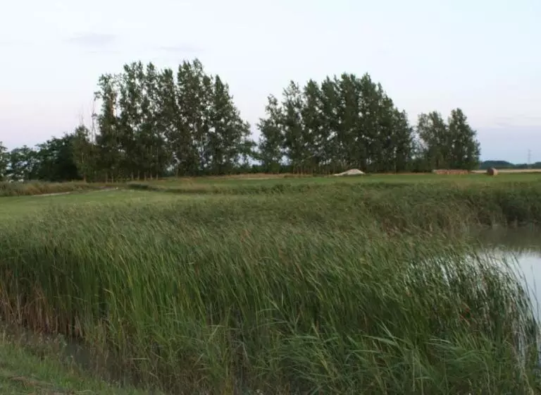 Majatalo Bencsik Tanya Szentkirály   Szálláshely & Rendezvényház