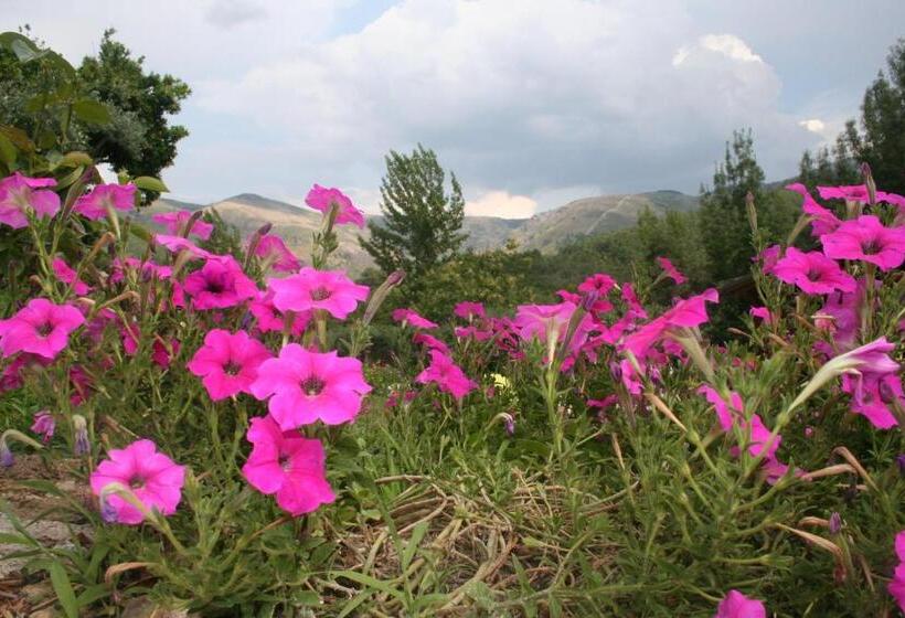 펜션 Casas De Alvite