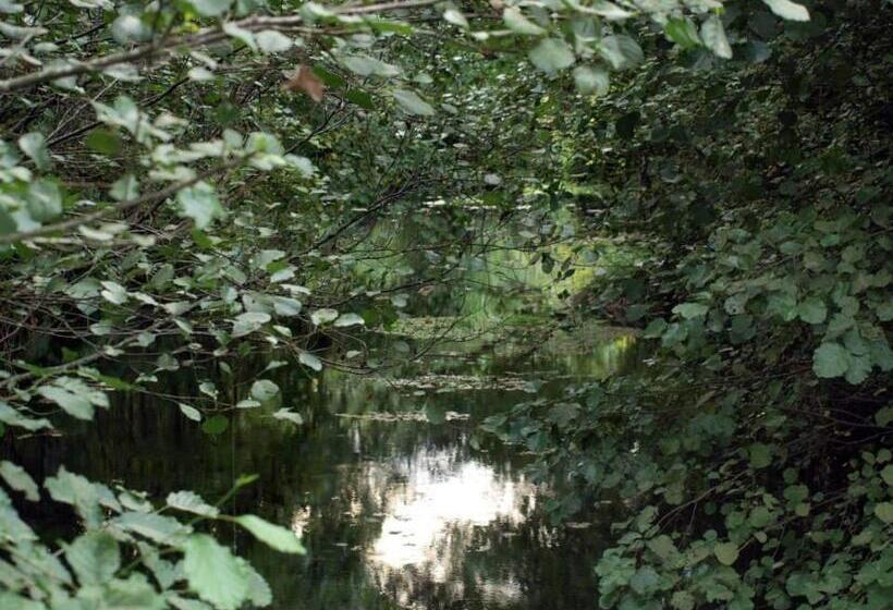 펜션 Casas De Alvite