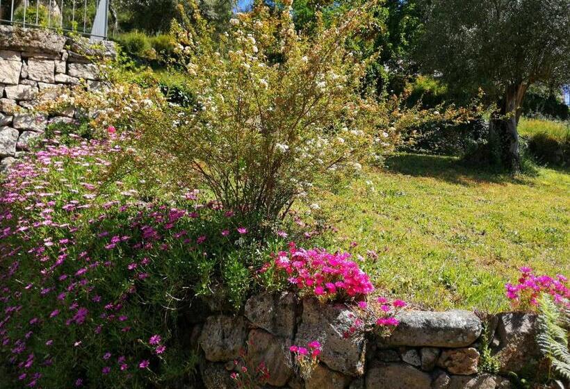 펜션 Casas De Alvite