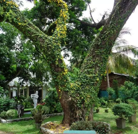 Majatalo Saranga Holiday Inn