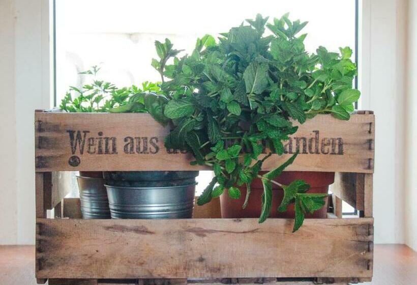 بنسيون Torrinha House