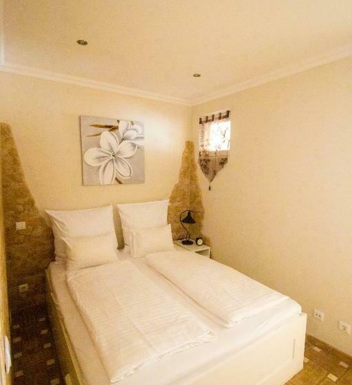 بنسيون Torrinha House